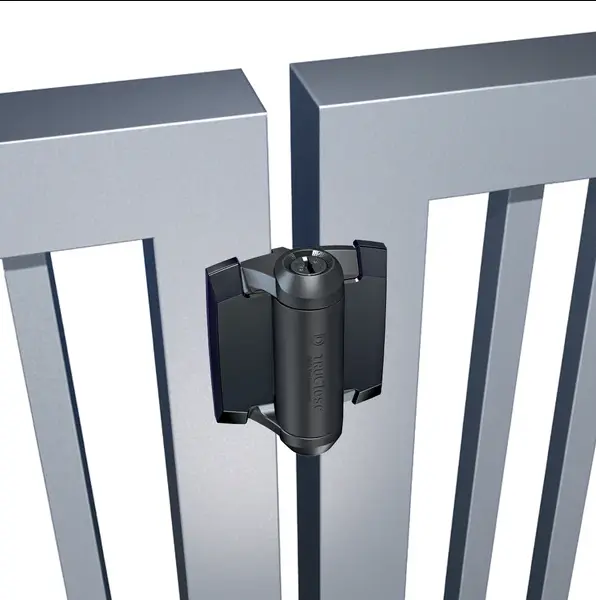 DD Technologies TruCLose Gate Hinges Black Display